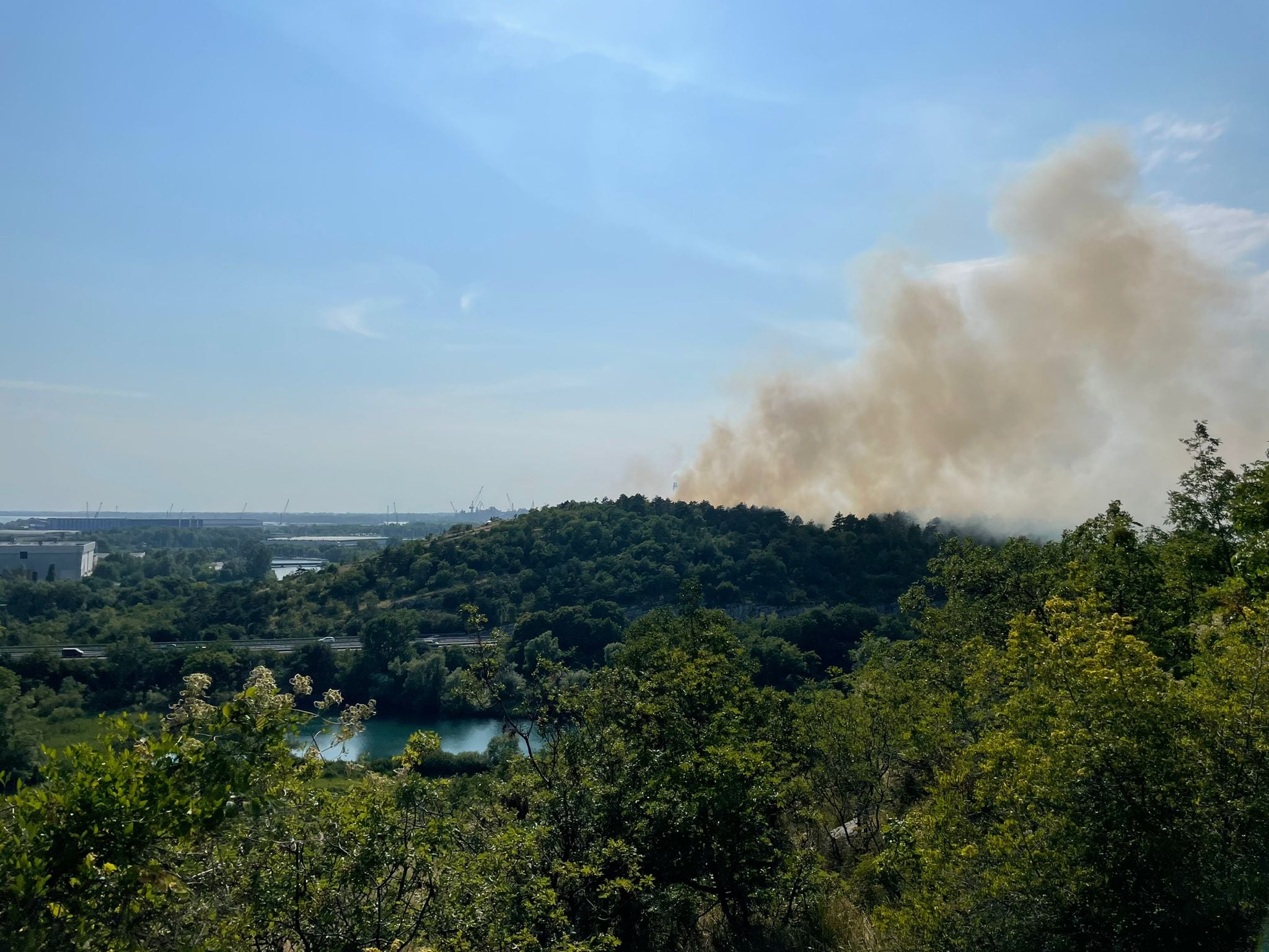Incendio Lisert campanello d’allarme –  Regione FVG aderisca subito a campagna antincendio boschivo