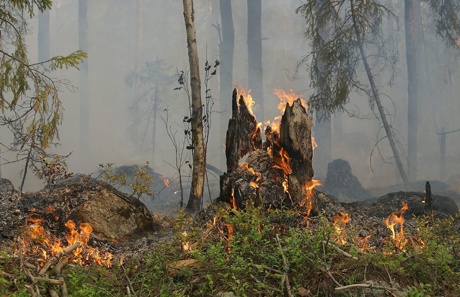 Allarme incendi boschivi: la Regione FVG rinnovi subito convenzione con Vigili del Fuoco
